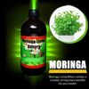 Moringa, Sea Moss, Ginger Living Bitters - Herbal Supplement - 16oz
