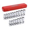 17PCS 3/8" Drive SAE & Metric 6-Point Universal Flex Socket Set CR-V Swivel Head