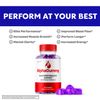 AlphaGummy for Men Advanced Energy & Performance Vitamin Supplement 300 Gummies