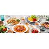 Ultra Plate No. 11 100 Piece u11r