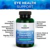 Swanson Astaxanthin and Zeaxanthin Softgels, 8 mg, 60 Count