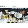 Difeel Essentials Hydrating Coconut Conditioner 12 oz.