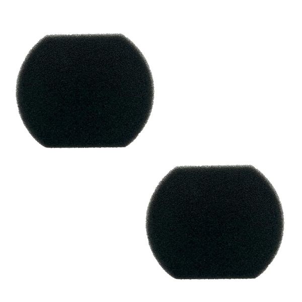 AnshinShop Hitachi Vacuum Cleaner Sponge Filter, 2 Pack Compatible with PV-BJ700G-014 (PV-BF700-010)