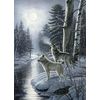 Cobble Hill 1000 Piece Puzzle - Wolves by Moonlight - Sample Poster Included