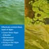 API Pond AlgaeFix 1 Gallon Pond Algae Control 169C Plus API 5 in 1 Test Strips