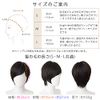 Brightlele hf1284-BC-S Wig, Short, Full Wig, Bob, Natural, Men's Clothing, Short Hair, Short Bob