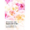 Shigeta AW Moisture-Ceramic 30ml Chassis [parallel import goods]