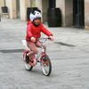 COOLCASC PANDA Multisport Helmet Cover