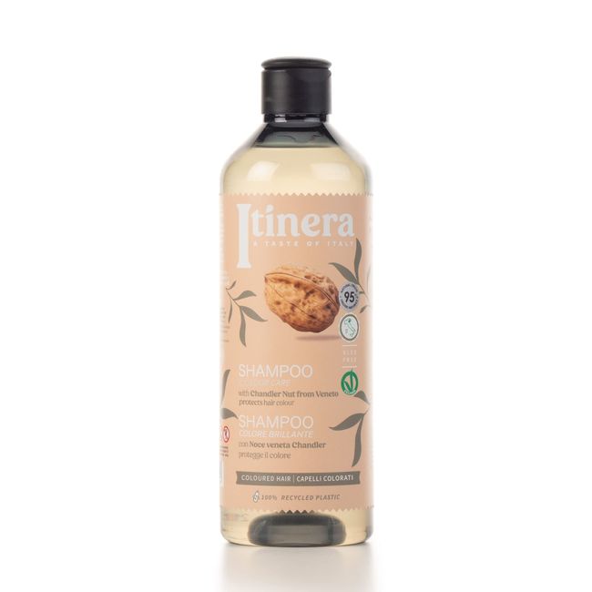 ITÍNERA Color Care Shampoo with Chandler Walnut from Veneto (12.51 fl oz) - for Color-Treated Hair - Vegan Friendly - 95% Natural Origin Ingredients