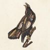 BOOK OF BAD DECISIONS [VINYL]