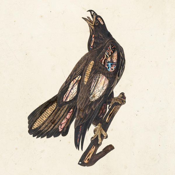BOOK OF BAD DECISIONS [VINYL]