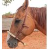 Heavy Duty Cowboy Rawhide Braided Noseband