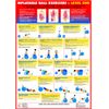 Gym Ball Exercise Chart Series (A3 Laminated, Level 1)