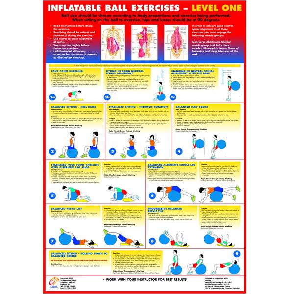 Gym Ball Exercise Chart Series (A3 Laminated, Level 1)