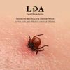 Lifesystems Key-Ring Tick Tweezers For Effective & Fast Tick Removal