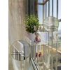 BXHYOLY Acrylic Window Shelf Window Box Shelf Ledge Suction Cup Shelf Box (12 INCH)