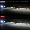 CX – 5 Compliant Genuine Replacement HID Bulb 信玄 D4S K