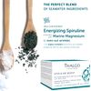 Revitalising Detox Fluid 50ml Spirulina Boost