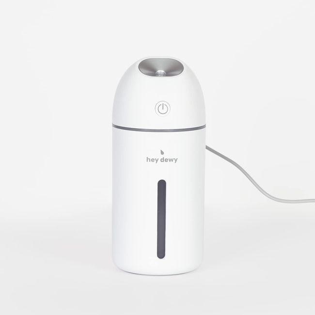 Hey Dewy Portable Facial Hydrating Cool Mist Humidifier (Wired Version)