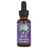 Angelica, Flower Essence, 1 fl oz (30 ml)