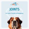Dog Fit by PreThis® Joints, Joint Nutrients for Large, Medium and Small Dogs, large