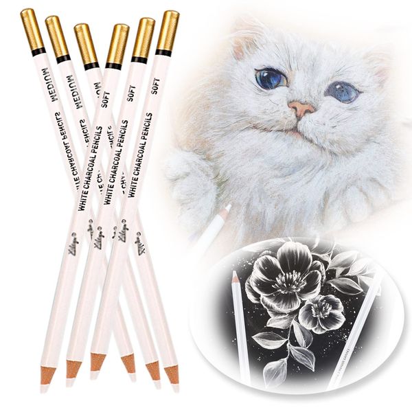 Ccomage 6Pcs Professional White Charcoal Pencils Drawing Set, Soft & Medium-Hard Sketch Highlight White Pencils for Drawing, Sketching, Shading, Blending, Painting Art Supplies White Chalk Pencils