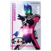 Kamen Rider Transformation Sound Card Selection Assorted Set EX-1