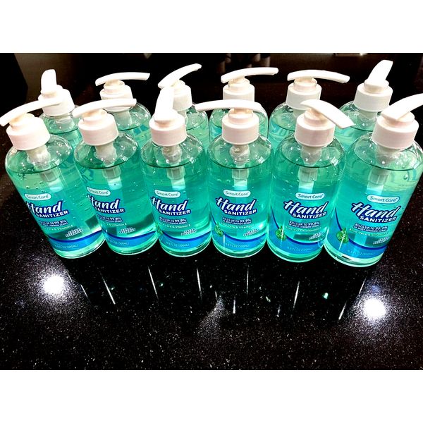 Smart Care Hand Sanitizer Lot Of 12 Large Bottles 16.9oz Aloe Vera & Vitamin E