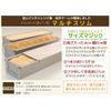 Asai Shoten Artite Bread Mold, Multi Slim