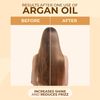 Naissant Argan Oil Elixir - Aceite de Argán, 4.1 Fluid Ounce (120ml)
