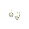 Fossil Women's Stainless Steel with Hook closure Earrings
