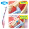 Lapis LA-001 Dental Compact Tuft Brush - Jelly, Regular, Assorted Colors (Set of 6), Awarded the Good Design Award, 1 Cap, Made in Japan