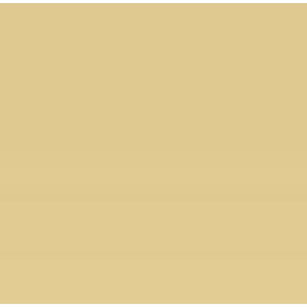 Cellulose Car Body Paint BS381 388 Beige 1L