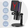 Professional Gaming RGB USB Condenser Microphone, PC/PS5/Streaming/Podcast/Video