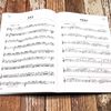 流行与经典：令人沉醉的长笛曲100首