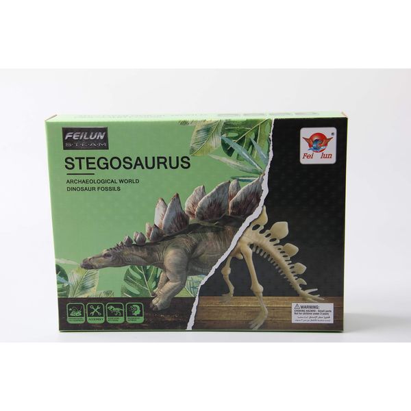 Archaeological World Dinosaur Fossils Stegosaurus