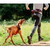 Airtech Dog Sport Harness Medium/Large - Burnt Ochre