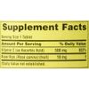 Spring Valley - Vitamin C 500 Milligram with Rose Hips, 250 Tablets