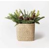 15" Artificial Pine Cone Arrangement - Threshold designed with Studio McGee