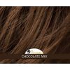 Ellen Wille Short Hair Wig