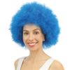 P 'tit 64469 Willy – Afro Wig Clown