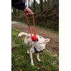 Mountain Paws Climbing Rope Dog Toy with Durable, Reflective Thread, Ball