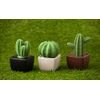 Lively Breeze Tri Cactus, Non-Electric Ceramic Diffusers for Essential Oils and Aromatherapy Fragrance, White Ceramic Diffusers in Car or Desk Office Decor and Small Bathroom at Home, Black Vase