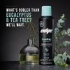 Edge Shave Gel for Men, Cooling Eucalyptus & Tea Tree, 7oz (3 Pack) - Shaving Gel For Men That Moisturizes, Protects and Soothes To Help Reduce Skin Irritation