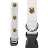 Small 'German Shepherd with Stick Portrait' Dog Collar (PR00063493)