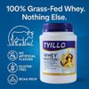 TYILLO 100% Grass-Fed Whey Protein – Recovery, Strength & Muscle Support