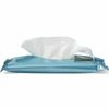 *24-Pack* Medline ReadyFlush Flushable Personal Cleansing Cloths Wipes MSC263810