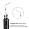 Dental Cordless Gutta Percha Obturation System Endo Heated Pen With 2 Tips