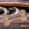 History & Heraldry Squeaky Dog Toy (Freddie)