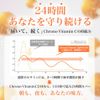Chrono-Vitamin C 240